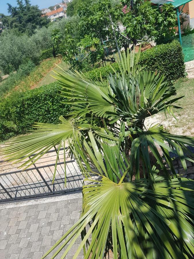 Apartment Mit Balkon Porec Exterior photo